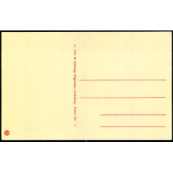 Taasinge -  Parti ved  Bregninge Kirke - Chr. G. Kielbergs Bogh.  701 - Ubrugt