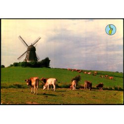 Sams - Koldby Mlle - Sams Bogh. u/n - Brugt