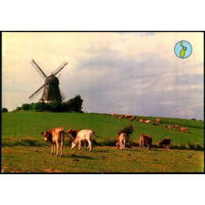 Sams - Koldby Mlle - Sams Bogh. u/n - Brugt