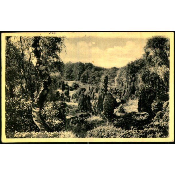 Tisvilde Hegn - Paradisdalen - Rudolf Olsen 168 - Brugt