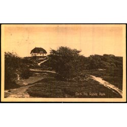 Parti fra Rebild Park - Andersen 40561 - Brugt