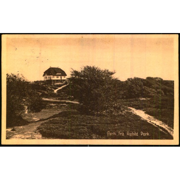 Parti fra Rebild Park - Andersen 40561 - Brugt