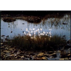 Kruld - Grnlands Post 22/89 - Ubrugt