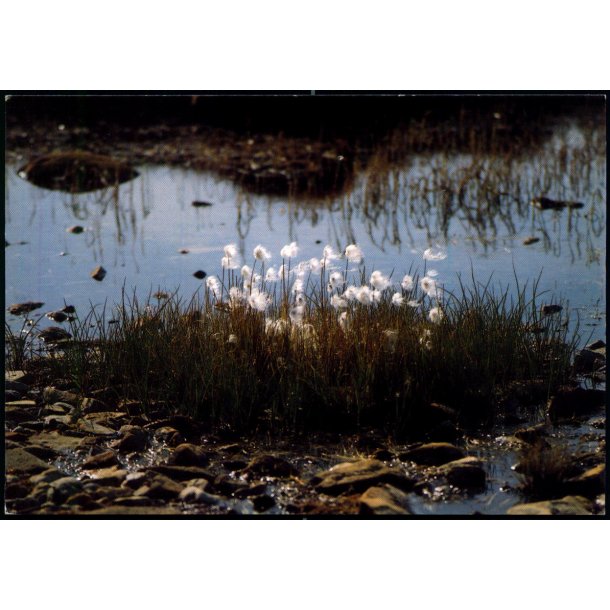 Kruld - Grnlands Post 22/89 - Ubrugt