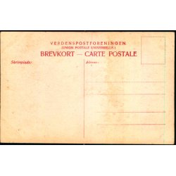 Kolding - K�mpen paa Koldinghus - W.K.F. 1117 - Ubrugt