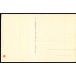 Silkeborg - Ny Hatten�s - N.P. Nielsen Papir 27773 - Ubrugt