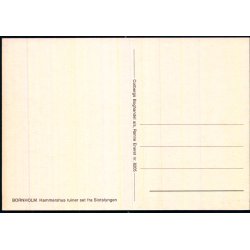 Bornholm - Hammershus Ruiner set fra Slotslyngen - Colbergs Bogh. 8205 - Ubrugt