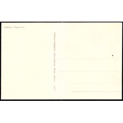 Gudhjem - Figentret - Colbergs Bogh. 110 F - Ubrugt