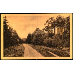 Fra Tisvilde Hegn - E. Ramlaus Bogh. 43409 - Ubrugt