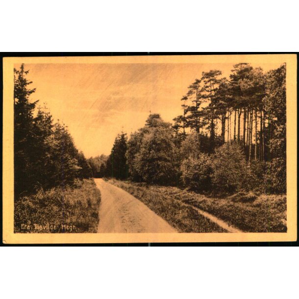 Fra Tisvilde Hegn - E. Ramlaus Bogh. 43409 - Ubrugt