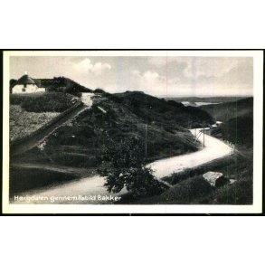 H�rgdalen gennem Rebild Bakker - Sk�rping Bogh. 39269 - Ubrugt