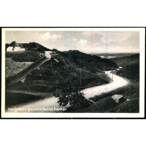 H�rgdalen gennem Rebild Bakker - Sk�rping Bogh. 39269 - Ubrugt