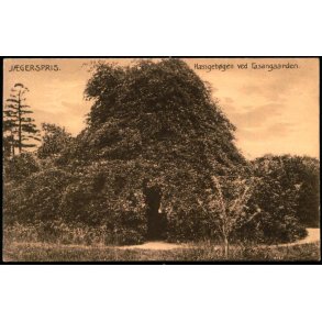 Jgerspris - Hngebgen ved Fasangaarden - Ebbesen/Nielsen 6379 - Ubrugt