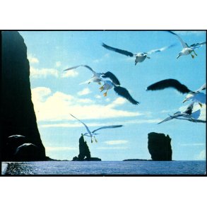 Risin og Kellingin undir Eidiskolli - Asmundur Poulsen u/n - Ubrugt