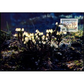 Kantlyng - Grnlands Post 28/90 - Brugt