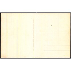 Bornholm - Broen til Hammershus Ruiner - Colbergs Bogh. 550 - Ubrugt