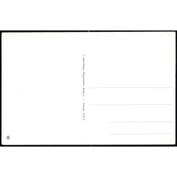 Skjern - Storkerede paa Skjern Station - J. Jacobsens Bogh. 91573 - Brugt