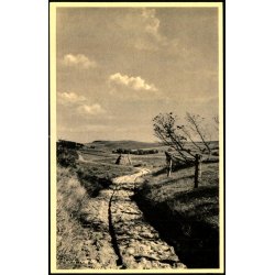 Parti fra Mols - H. Windel�v 89828 - Ubrugt