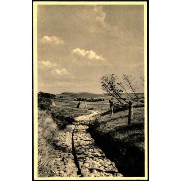 Parti fra Mols - H. Windel�v 89828 - Ubrugt