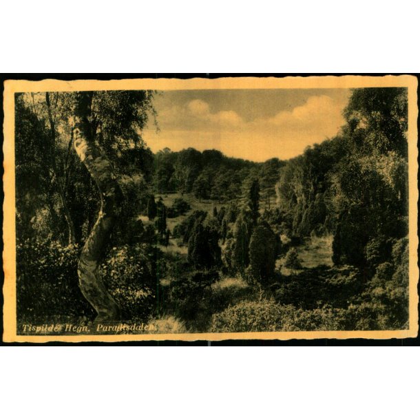 Tisvilde Hegn - Paradisdalen - Rudolf Olsen 351 - Brugt