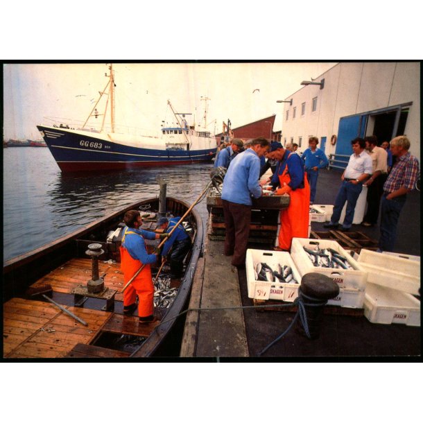 Landing af fisk pi Skagen Havn - Trojaborg SKA 3 - Ubrugt