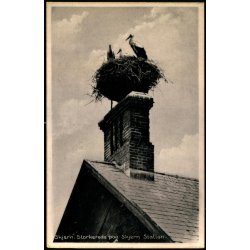 Skjern - Storkerede paa Skjern Station - J. Jacobsens Bogh. 91573 - Ubrugt