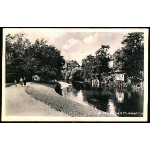 Odense Aa ved Munkemose - Odense Papir 284 - Brugt