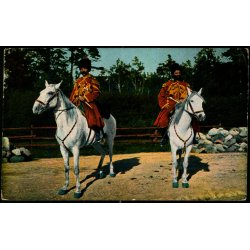 Feldpostkort - Kais. Deutsche Feldpoststation  22 -12 - 16  - Til Berlin - Billedside : Kosaker