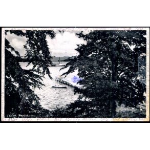 Thur - Fredsskoven - K.A. Nielsens Bogh. 3140 - Brugt