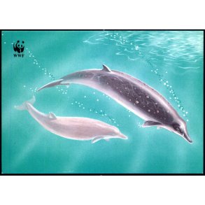 Nevhalur - Postverk Froya u/n - Ubrugt