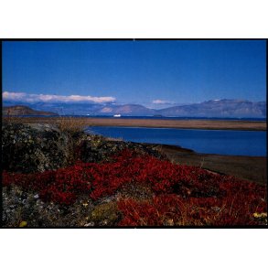 Nationalparken - stgrnland - Scanlith u/n - Brugt