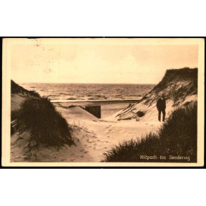 Klitparti fra S�ndervig - Bollerups Bogh. 60194 - Brugt