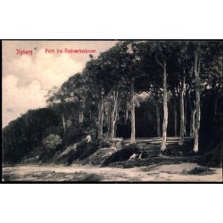 Nyborg - Parti fra Teglv�rksskoven - W.K.F. 3746 - Brugt
