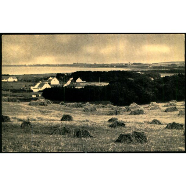 Parti fra Klint - pr. Nyk�bing Sj. - Kbm. T. Jensen u/n - Brugt