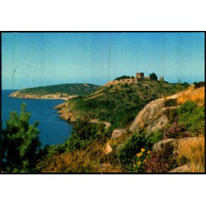 Bornholm - Hammershus Ruiner set fra Slotslyngen - Colbergs Bogh. 8205 - Brugt