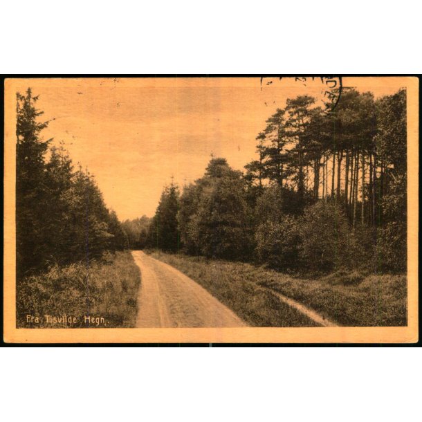 Fra Tisvilde Hegn - A. Jensens Bogh. 43409 - Brugt