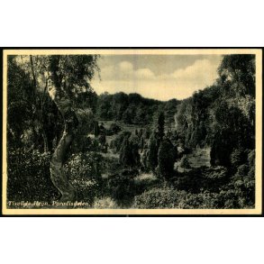 Tisvilde Hegn - Paradisdalen - Rudolf Olsen 351 - Brugt