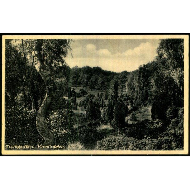 Tisvilde Hegn - Paradisdalen - Rudolf Olsen 351 - Brugt