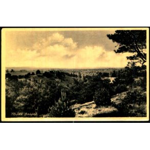 Tibirke Bakker - Rudolf Olsen 10106 - Ubrugt