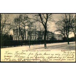 Kbenhavn - Den kgl. Veterinr og Landbohjskole - C. R. 104 - Brugt
