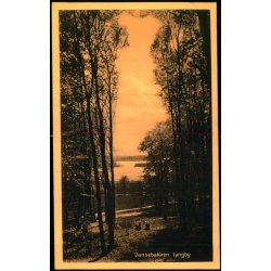 Dansebakken -  Lyngby - Henriksens Bogh. 41726 - Ubrugt 