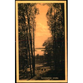 Dansebakken -  Lyngby - Henriksens Bogh. 41726 - Ubrugt 