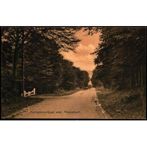 Kongebrovejen ved Middelfart - Stender u/n - Brugt