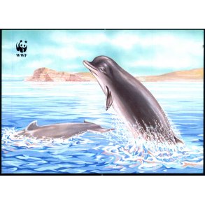 Dglingur - Postverk Froya u/n - Ubrugt