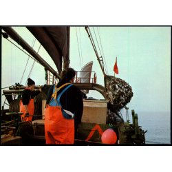 Esbjergkutter p� snurrevodsfiskeri - Nords�museet 83211 - Ubrugt