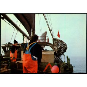 Esbjergkutter p� snurrevodsfiskeri - Nords�museet 83211 - Ubrugt