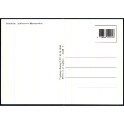 Bornholm - Luftfoto over Hammershus - Trojaborg HAM 7 - Ubrugt