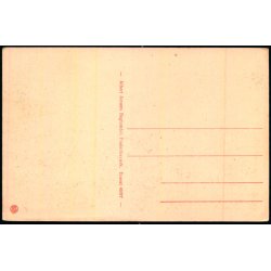 Den store sal i Sandkroen - A.Jensens Bogh. 46017 - Ubrugt