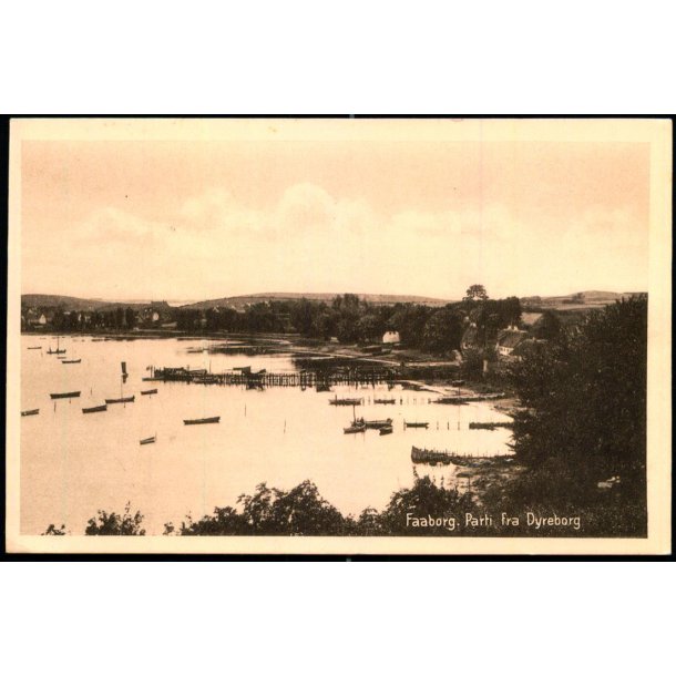 Faaborg - Parti fra Dyreborg - F.C. Alstr�ms Bogh.  16807 - Ubrugt