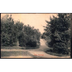 Ejby Plantage - Ludvig Christensen 613 - Brugt